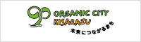 banner_a_ organiccitykisarazu